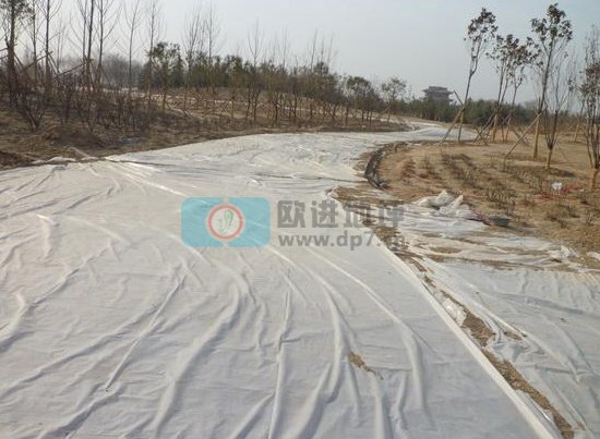 彩色生態(tài)透水混凝土地坪-歐進建材www.gsmdata.cn